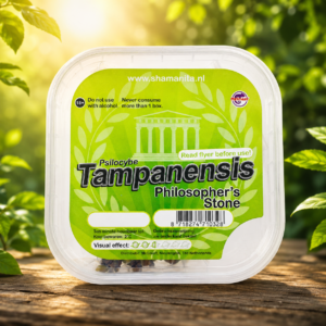 Tampanensis magic truffels (Psilocybe Tampanensis) verpakking — De Truffeltuin
