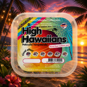 High Hawaiians magic truffels (Psilocybe Tampelandia) verpakking — De Truffeltuin