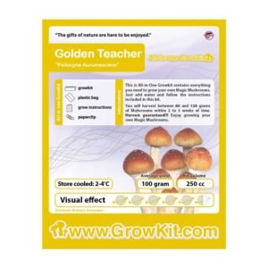 Golden Teacher Growkit - 250 cc