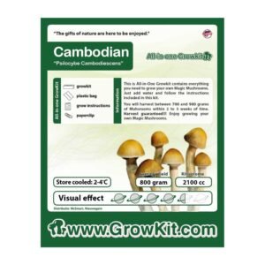 Cambodian Growkit - 2100 cc