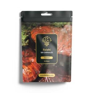 Reishi extract capsules - 120 stuks