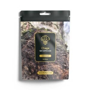Chaga extract capsules - 120 stuks