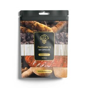 Fantastic 5 extract capsules - 120 stuks