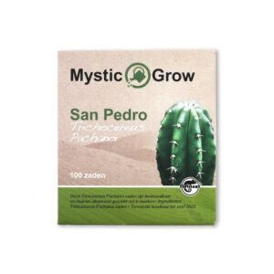 San Pedro cutting Pachanoi 25 - 29 cm